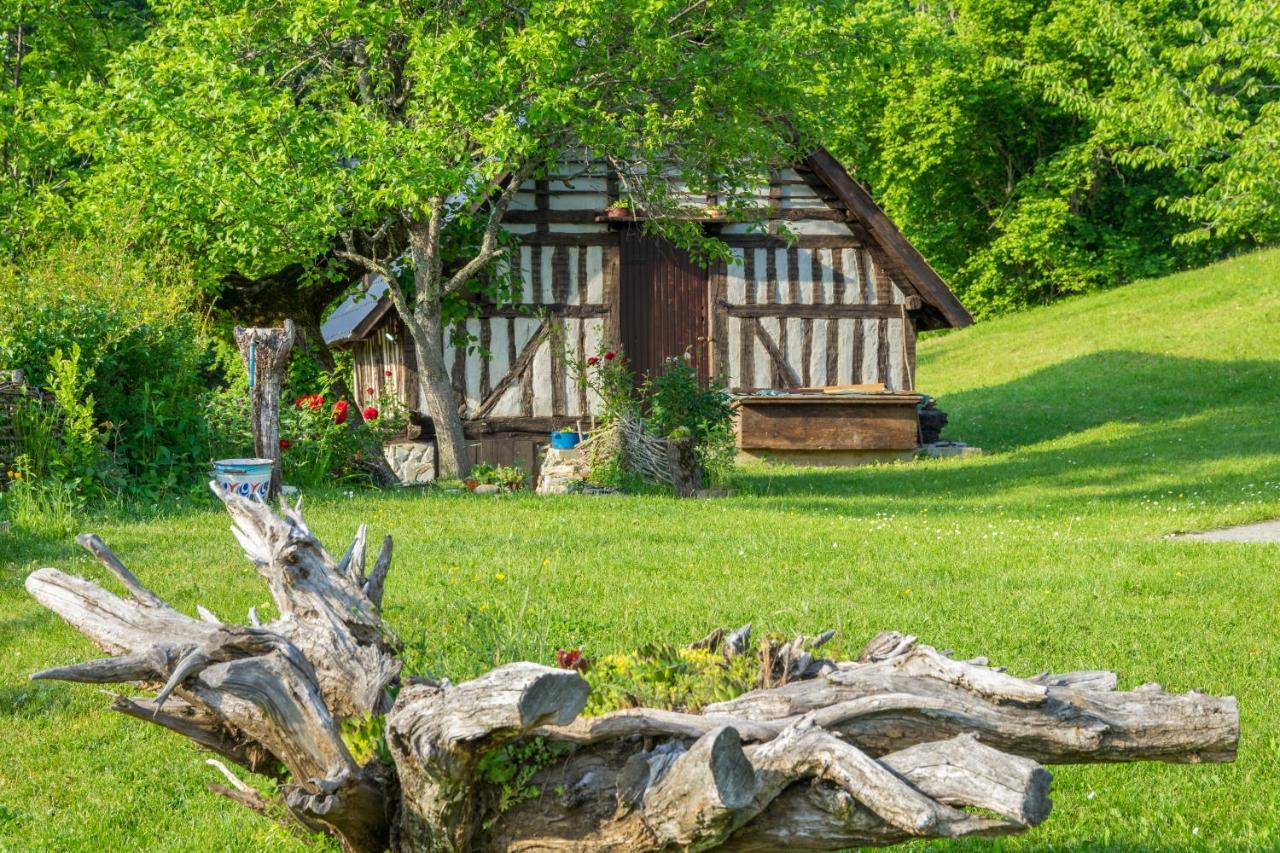 Djurdjevina Family Farm Tatil Evi *
