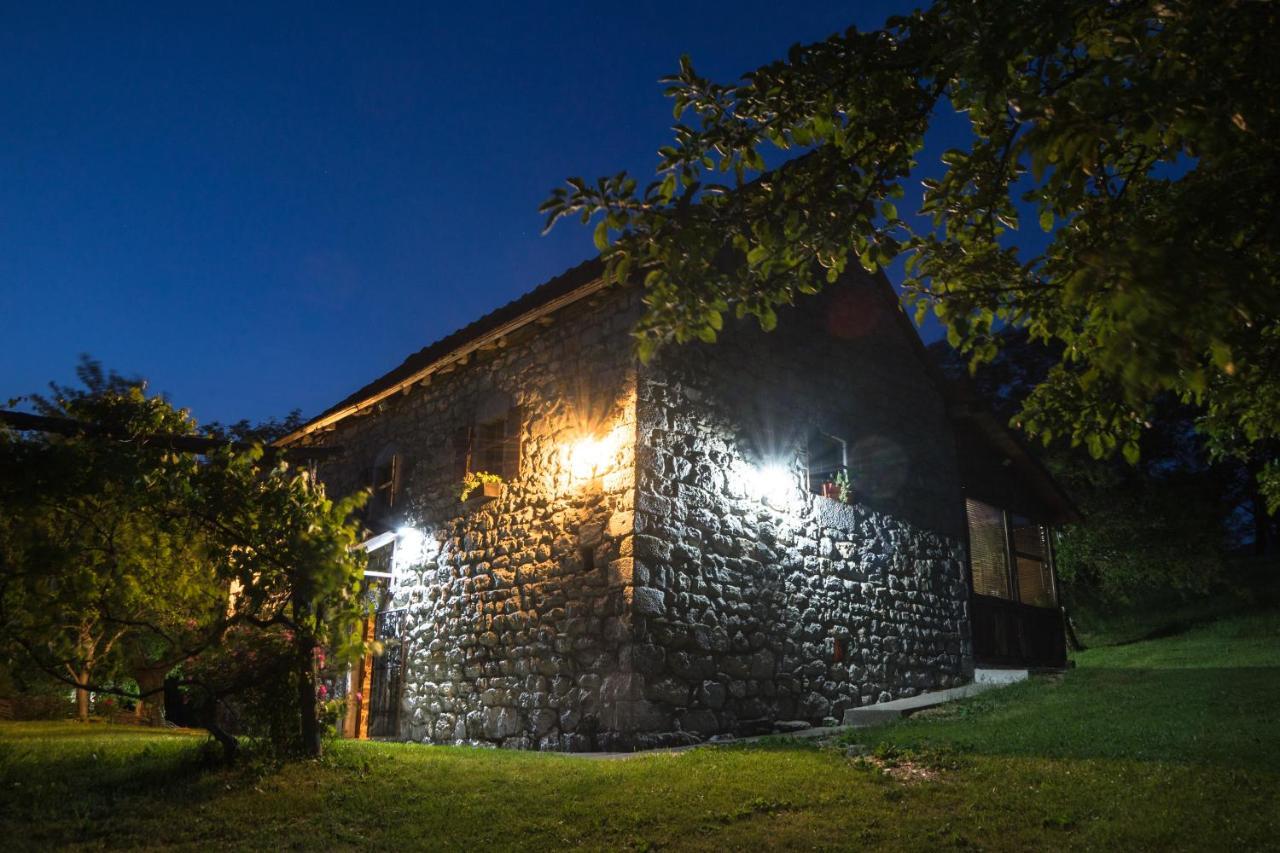 Tatil Evi Djurdjevina Family Farm *
