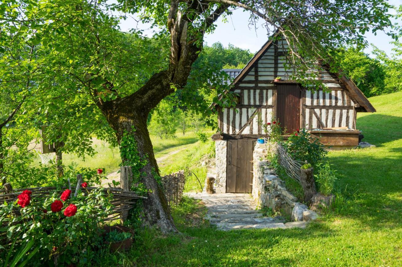 Tatil Evi Djurdjevina Family Farm
