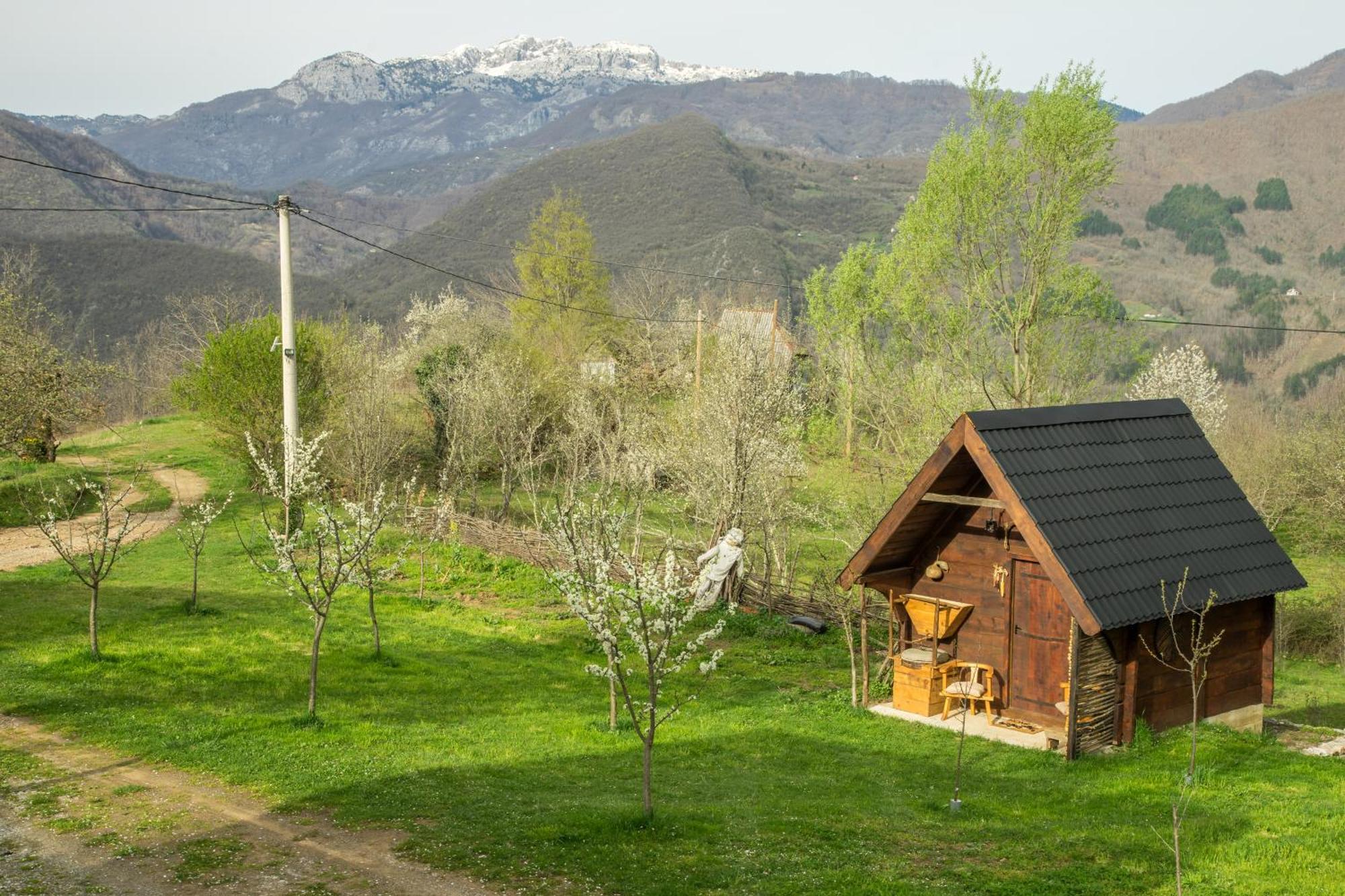 Tatil Evi Djurdjevina Family Farm Kolaşin