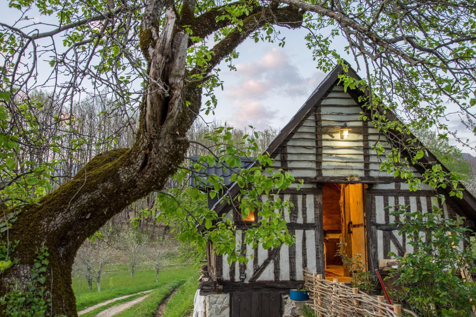 Tatil Evi Djurdjevina Family Farm